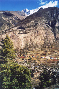 Manang